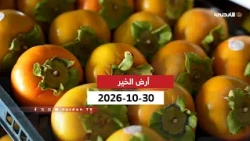 Land of Goodness | Persimmon Farming in Subha and Subhiya, Mafraq Governorate