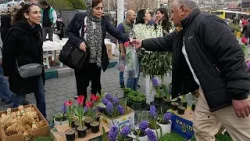 Nowruz en Teherán, los mercados se llenan pese a los bombardeos aéreos