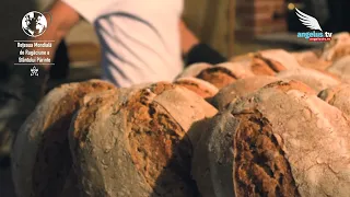 Intenția de rugăciune a Papei pentru luna mai 2026