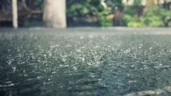 Light to moderate rain forecasted for the Caribbean and central regions