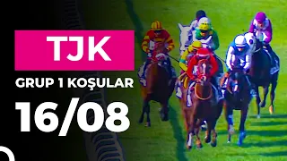 Fatih Sultan Mehmet Koşusu (Grup - 1) 16/08/2026