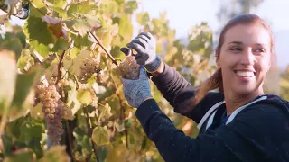Canal Rural 30 years | Wine Routes
