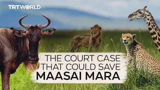 Is luxury tourism destroying Kenya's Maasai Mara?
