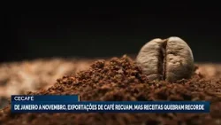 De janeiro a novembro, exportações de café recuam, mas receitas quebram recorde De janeiro a novembro, exportações de café recuam, mas receitas quebram recorde
