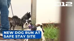 Volunteers install dog run at Vancouver ‘Safe Stay’ community