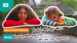 Making friends with backyard ants! 🐜 | Gardening Australia Junior | ABC Kids
