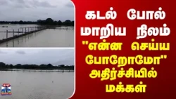 Rain Fall | கடல் போல் மாறிய நிலம்... "என்ன செய்ய போறோமோ" அதிர்ச்சியில் மக்கள்