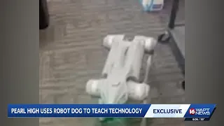 Pearl students to learn with AI robotic dog