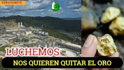 Luchemos en contra del mayor robo al país, Senasa le queda chiquito