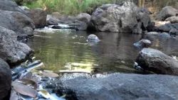 Matagalpa, un destino turístico de montaña y de exuberante vegetación