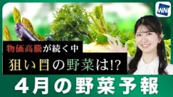 【4月の野菜予報】物価高騰が続く中、狙い目の野菜は!?
