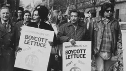 «Крайне тревожно»: реакция властей Фресно на обвинения в сексуальном насилии в адрес Сезара Чавеса.