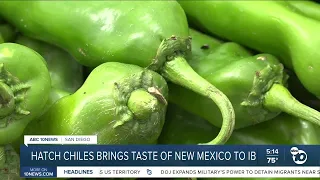 Hatch chile season brings a taste of New Mexico to Imperial Beach