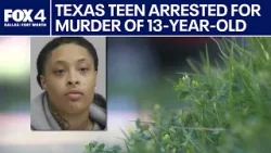 В Далласе арестована девушка-подросток по обвинению в убийстве 13-летнего подростка. В Далласе арестована девушка-подросток по обвинению в убийстве 13-летнего подростка.