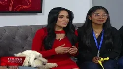 ? Huellitas en Gama | 