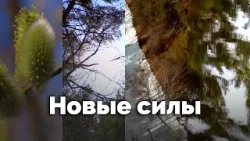 Новые силы | С любовью к русской природе