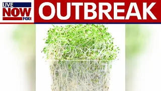 CDC: E. coli, Salmonella outbreak linked to alfalfa sprouts