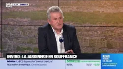 InVivo : “On réfléchit à franchiser nos succursales Jardiland”