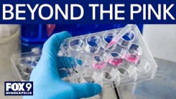 Breast cancer awareness: Advancing research for prevention, detection and treatment