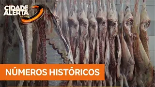 Rondônia Records Best-Ever First Half for Foreign Trade