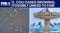 E Coli cases growing, possibly linked to the State Fair of Texas