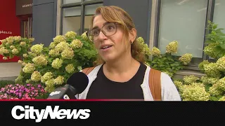 'I don't know who's winning': Torontonians react to Trump's new import ban