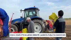 CON IL CONFLITTO IN MEDIO ORIENTE L’AGRICOLTURA È IN GINOCCHIO