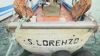 Fishing ban begins, Coldiretti: "Defend business competitiveness"