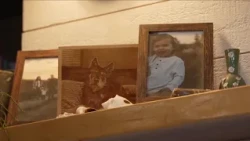 Arvada at-home daycare under criminal investigation after child found in 'near-fatal condition'