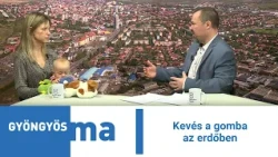 Kevés a gomba az erdőben