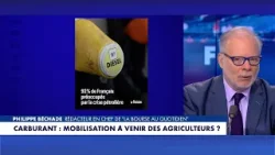 Philippe Béchade : «Les agriculteurs ont deux problèmes : le coût du gazole et le prix des engrais»