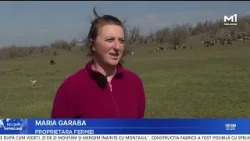 De la două capre la o fermă prosperă: Povestea familiei Garaba din Sadaclia