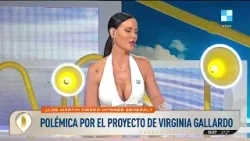 ? LA POLÉMICA POR EL PROYECTO DE VIRGINIA GALLARDO