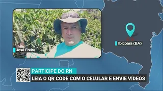 Irregular rain and heat worry coffee producers in Bahia | Will It Rain