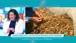 Canarias Al Día El Repaso 07.0.26 | Mírame TV Canarias Canarias Al Día El Repaso 07.0.26 | Mírame TV Canarias