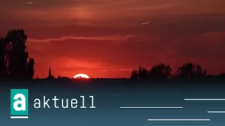oeins aktuell | 08/21/2026