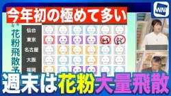 【花粉】週末は大量飛散の予想 今年初の「極めて多い」
