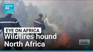 Wildfires hound Tunisia, Algeria and Morocco • FRANCE 24 English