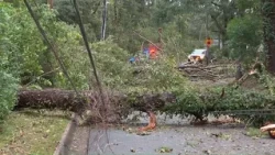 Multiple deaths reported after Hurricane Isaias after ravaging Florida, Alabama | What to know