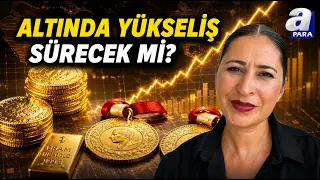 Şirin Sarı: Significant Buying in Gold Funds | A Para