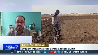 How likely are global food shortages and price surges due to El Nino?