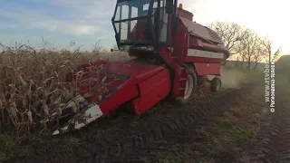 Počela žetva i berba kukuruza u borskom okrugu, 23. septembar 2026.(RTV Bor)