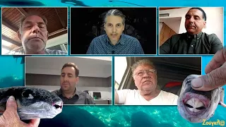 Όλη η αλήθεια για τους λαγοκέφαλους