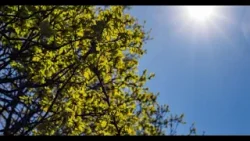 Nicaragua enfrenta temperaturas de hasta 36 grados por altas presiones oceánicas