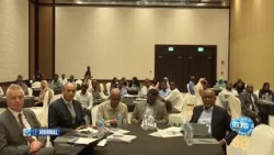 ZLECAf: Djibouti explore les opportunités du marché africain pour accélérer sa croissance économique