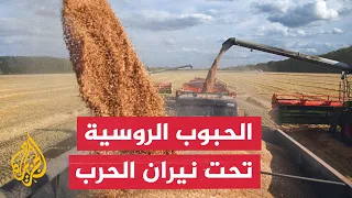 Ukrainian Strikes Threaten Russian Grain Exports and Signal Rising Food Prices