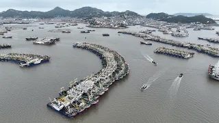 China issues orange alert and strengthens emergency measures in coastal provinces
