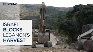 Lebanon’s olive farmers struggle under Israeli occupation
