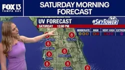 Погода в Тампе | Прогноз на субботнее утро