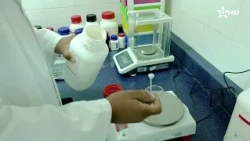 Scientific Research on Dates in Errachidia